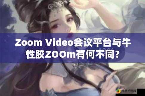 Zoom 与牛性胶 ZOOm：它们的关联与区别