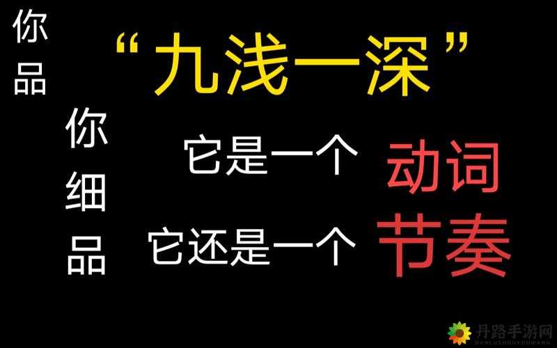 什么是 9 浅 1 深左 3 右 3：探索其中奥秘