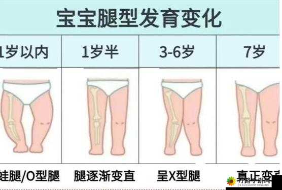 六年级：下面开始发育了吗？宝宝知道