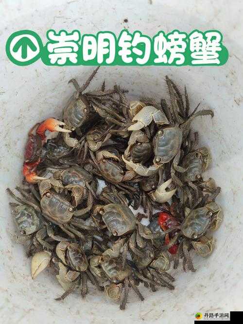 古剑奇谭ol螃蟹的钓法详解