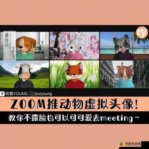 Zoom 与动物 Zoom 合作项目：共筑生态新蓝图