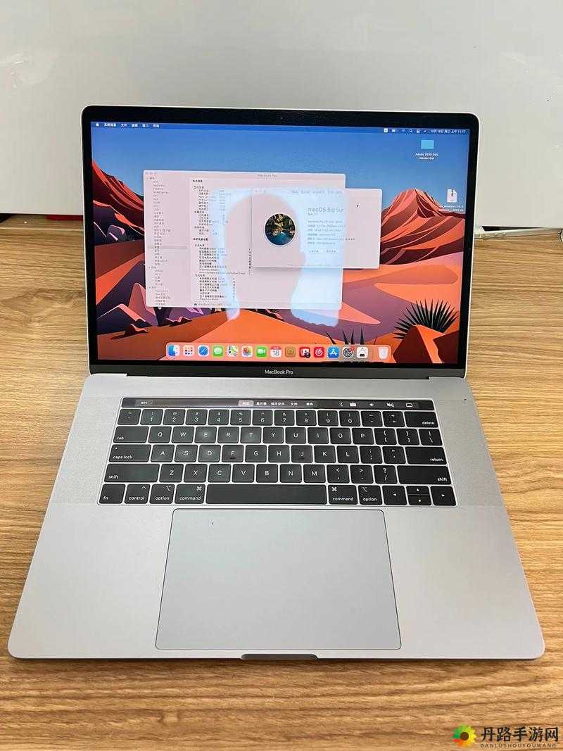 1819 岁拥有的日本款 MacBook