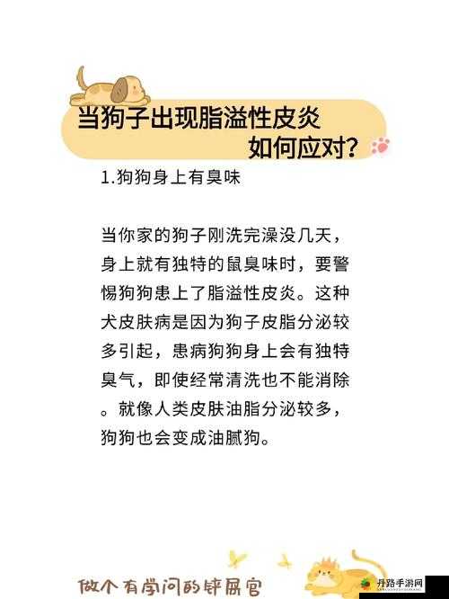 狗狗的东西又硬又烫又臭，怎么办？