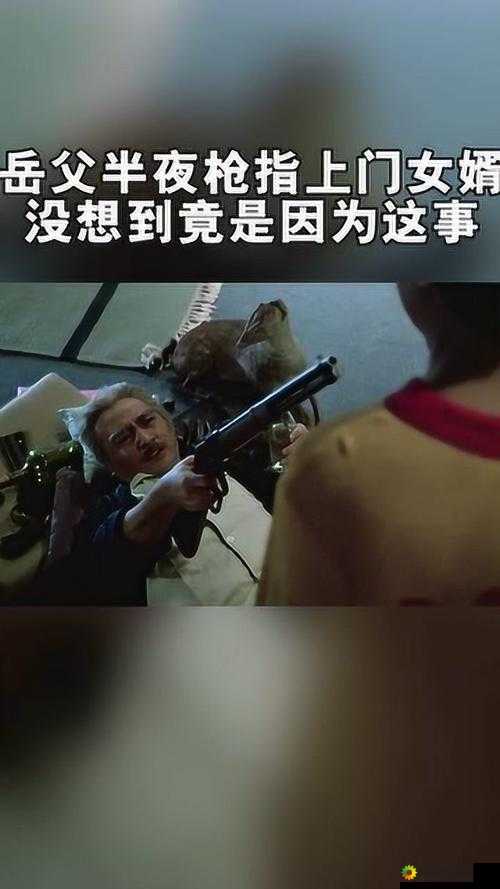 女婿有劲枪枪到底：岳父的秘密武器