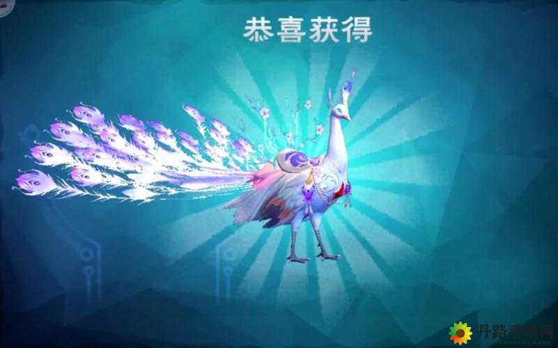 创造与魔法白灵孔雀的获取方式