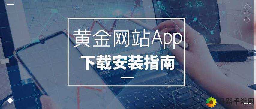 黄金网站APP 视频播放画质选择：提升你的观看体验