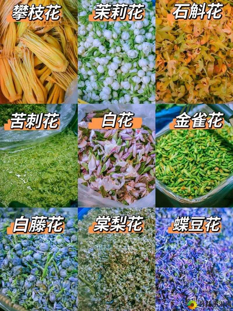 吃花核心流水喝：探秘奇妙的饮食现象