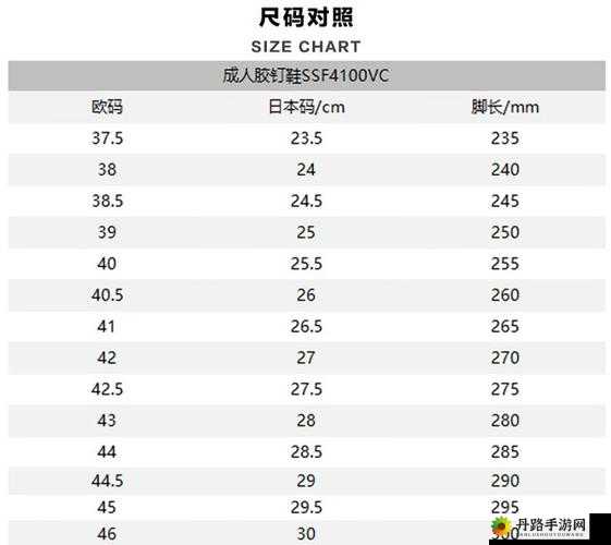 欧洲尺码日本尺码专线：全新黑马，引领潮流