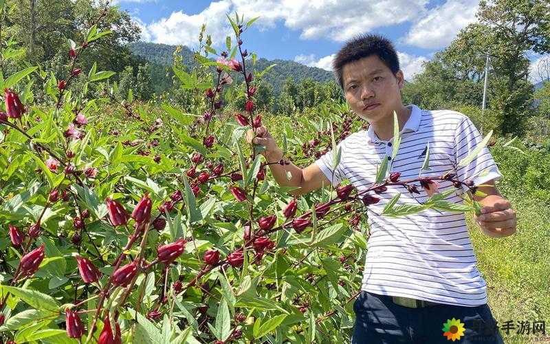 无人一区二区区别是什么红桃：探索未知的神秘领域