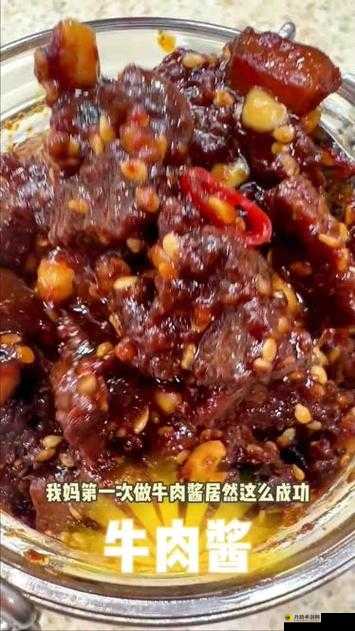 制作牛肉酱食谱详解：创意与魔法牛肉酱做法大全