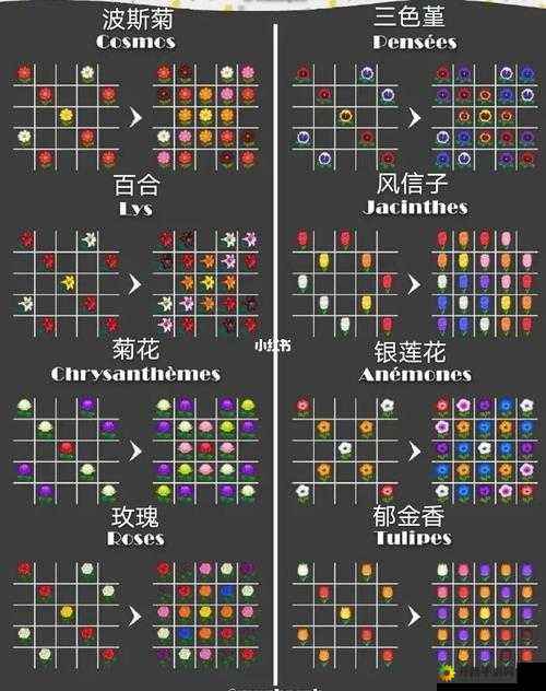 动物森友会花朵杂交全攻略：如何培育与集合各类花卉品种？