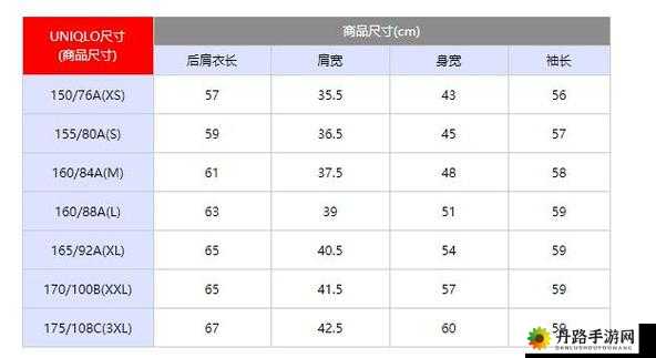 日本尺码与亚洲尺码区别：对比与解析