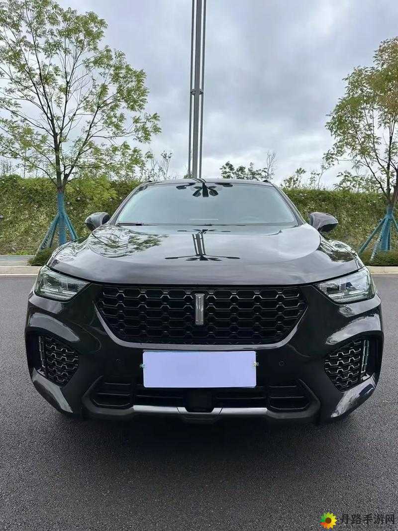 智能豪华超感座驾 VV5，中国豪华 SUV 领导者