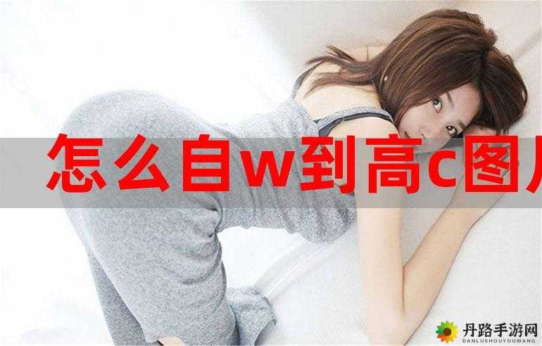 新手自 W 到高 C 教程视频详细解析