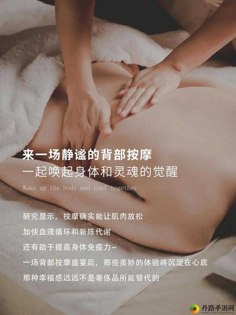 专业精油按摩：一对一对二，舒适享受