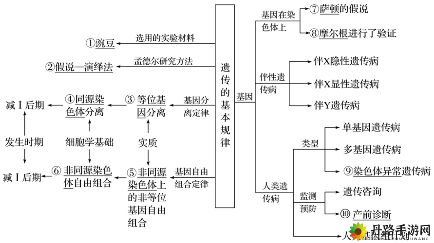 杂交 BUCSM 人类 SSBA 的相关研究探讨