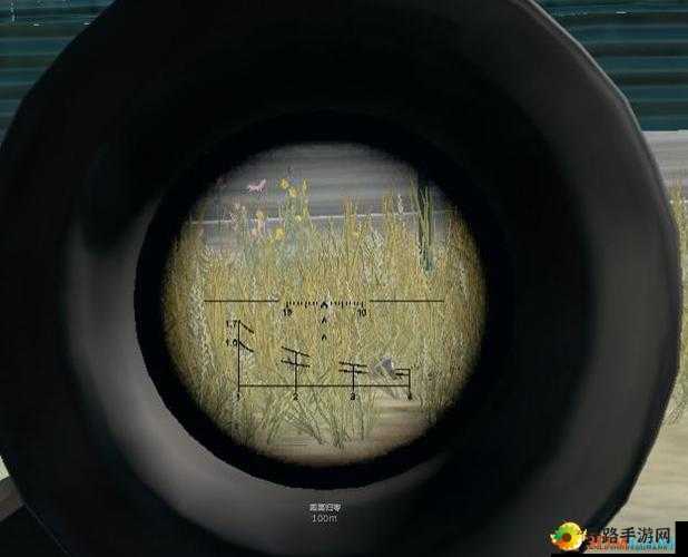 PUBG 手游 VSS 狙击枪伤害与拾取点一览